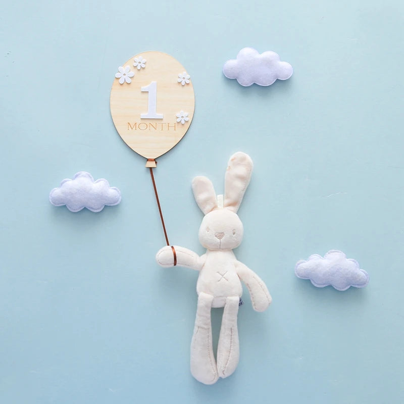 2Pcs Baby Wooden Balloon Milestone Cards Photography Accessories Baby Photography Shooting Props For Newborn Birthing Gifts