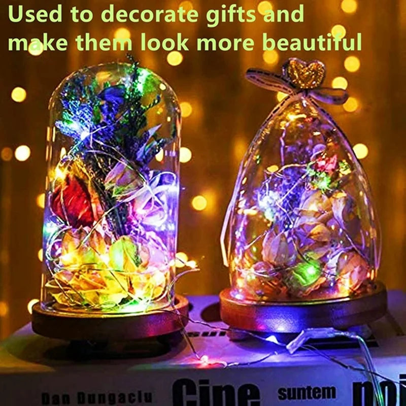 Shop 20-Pack Battery String Fairy Lights for Weddings & Parties