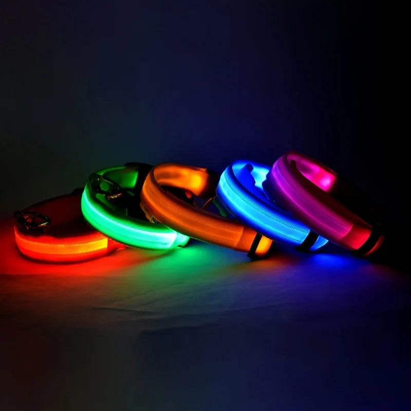 Shop LED Glow Dog Leash & Collar Set