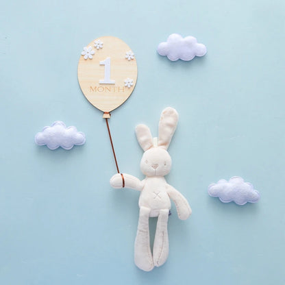 2Pcs Baby Wooden Balloon Milestone Cards Photography Accessories Baby Photography Shooting Props For Newborn Birthing Gifts