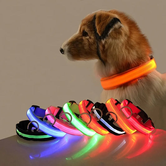 Shop LED Glow Dog Leash & Collar Set