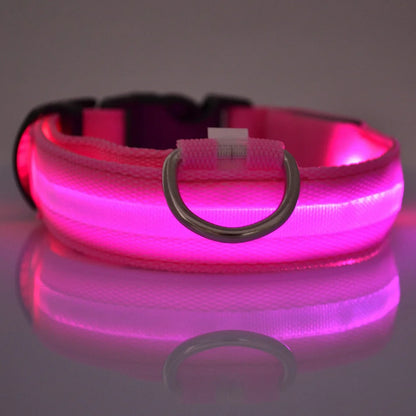 Shop LED Glow Dog Leash & Collar Set