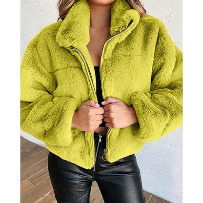Shop Women's High Neck Teddy Fleece Coat - Korean Style Winter Jacket