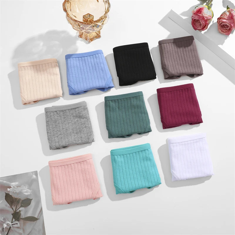 Shop 5-Pack Cotton Ribbed Striped Plus Size Women's Underwear - Soft Stretch Briefs in 10 Colors (S-7XL)